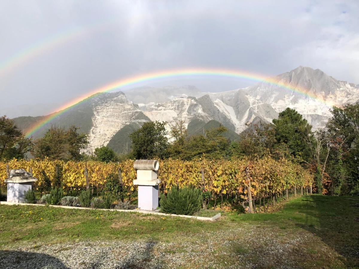 Galleria Ars Apua Bed & Breakfast Carrara Bagian luar foto