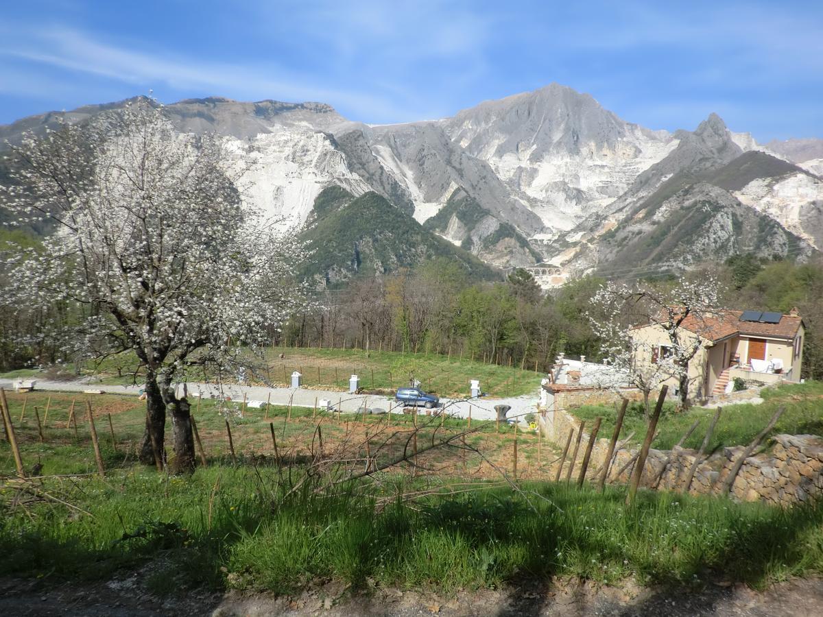 Galleria Ars Apua Bed & Breakfast Carrara Bagian luar foto